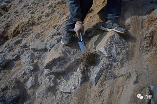 �b�͍u�����C���Bɽ��������˭h���^�l�� 